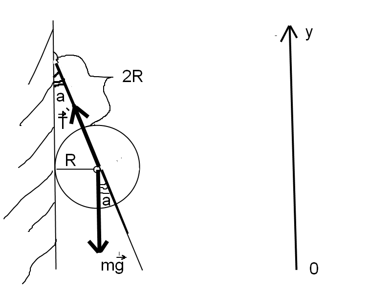 Однородный шар массой m=3 кг и радиусом R висит у стены. Расстояние от точки крепления нити к стене до точки касания шара со стеной равна 2R. Определить силу натяжения нити.