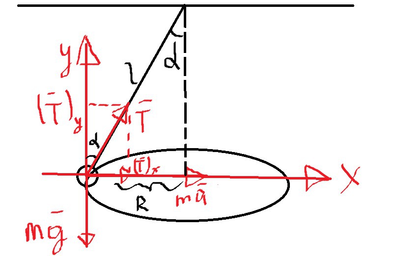 Покажите направление равнодействующей силы тяжести и силы натяжения нити, действующих на конический маятник? Как ее можно измерить?
