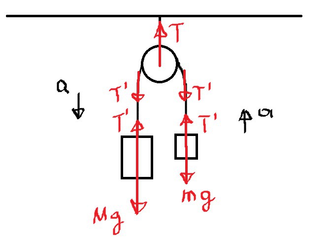 Блок подвещен к потолку с помощью троса. Через блок перекинута нитьс двумя грузами. Чему