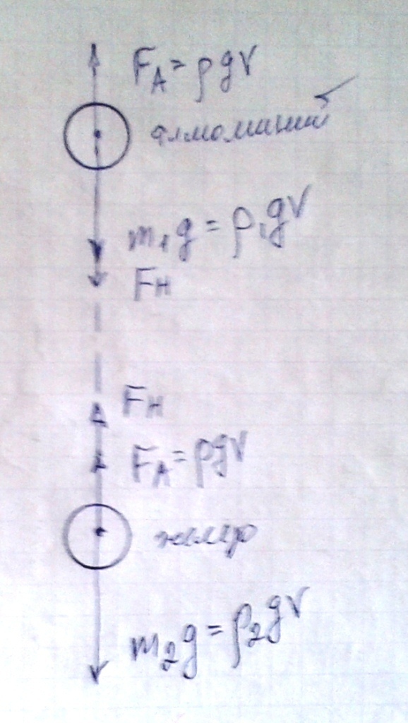 Из алюминия (плотность 2700 кг/м3) и железа (плотность 7900кг/м3) сделали два шарика одинакового объема 1 дм3, связали их длинной легкой нитью и бросили в море. Чему будет равна сила